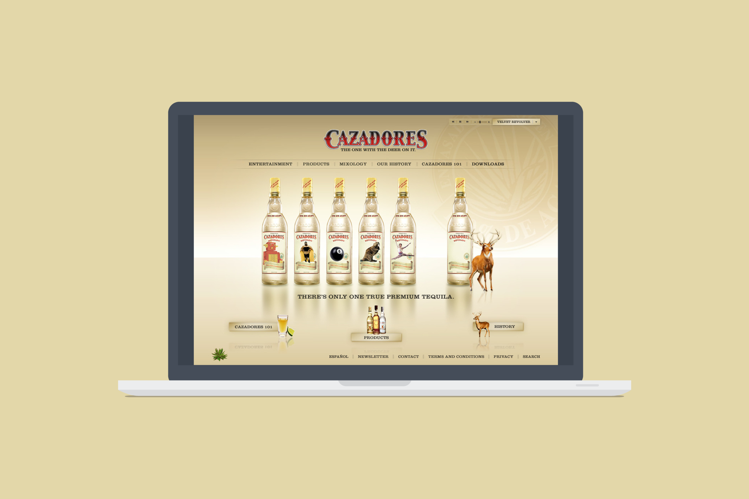 Cazadores Website